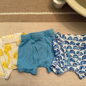 Little Sleepies toddler boy Undies 2-3T